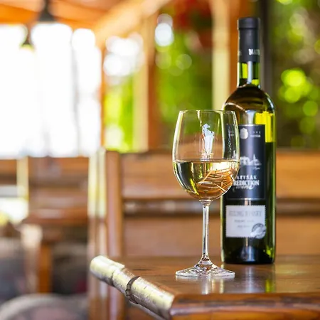 도미니카 호텔 브라티슬라바