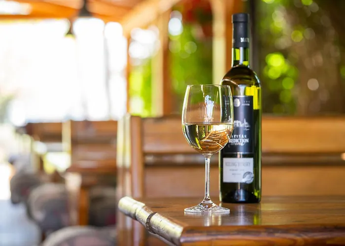 도미니카 호텔 브라티슬라바