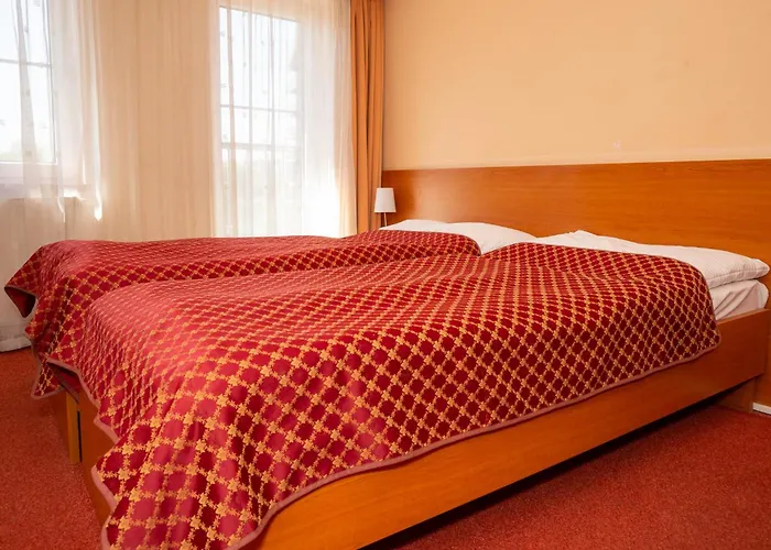 호텔 도미니카 3*